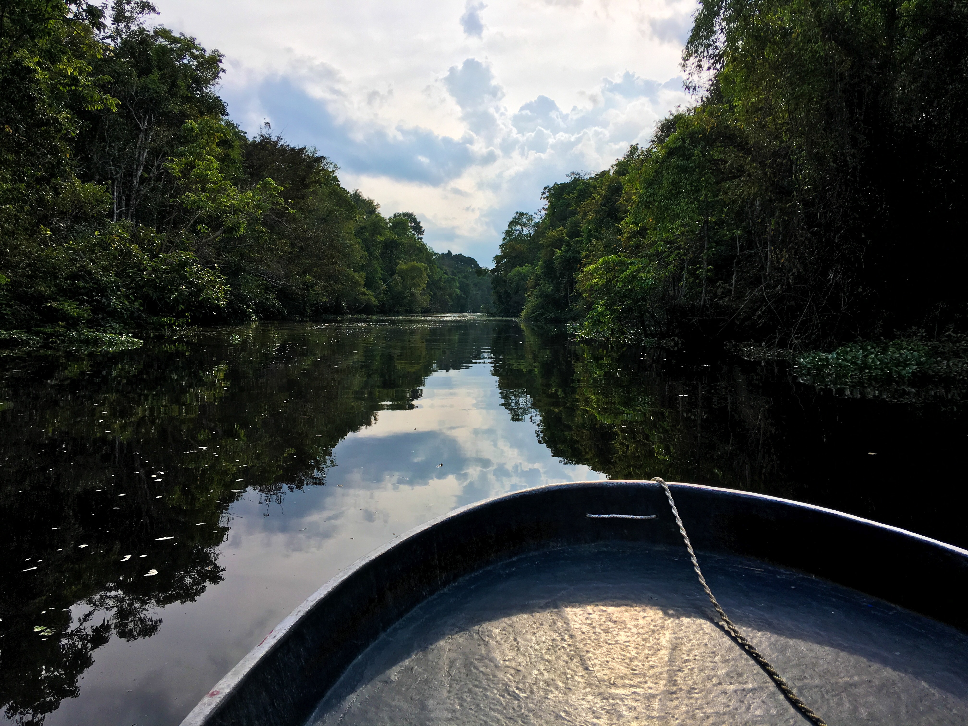 210105BC-9B56-48D5-96A1-744D43347CDC