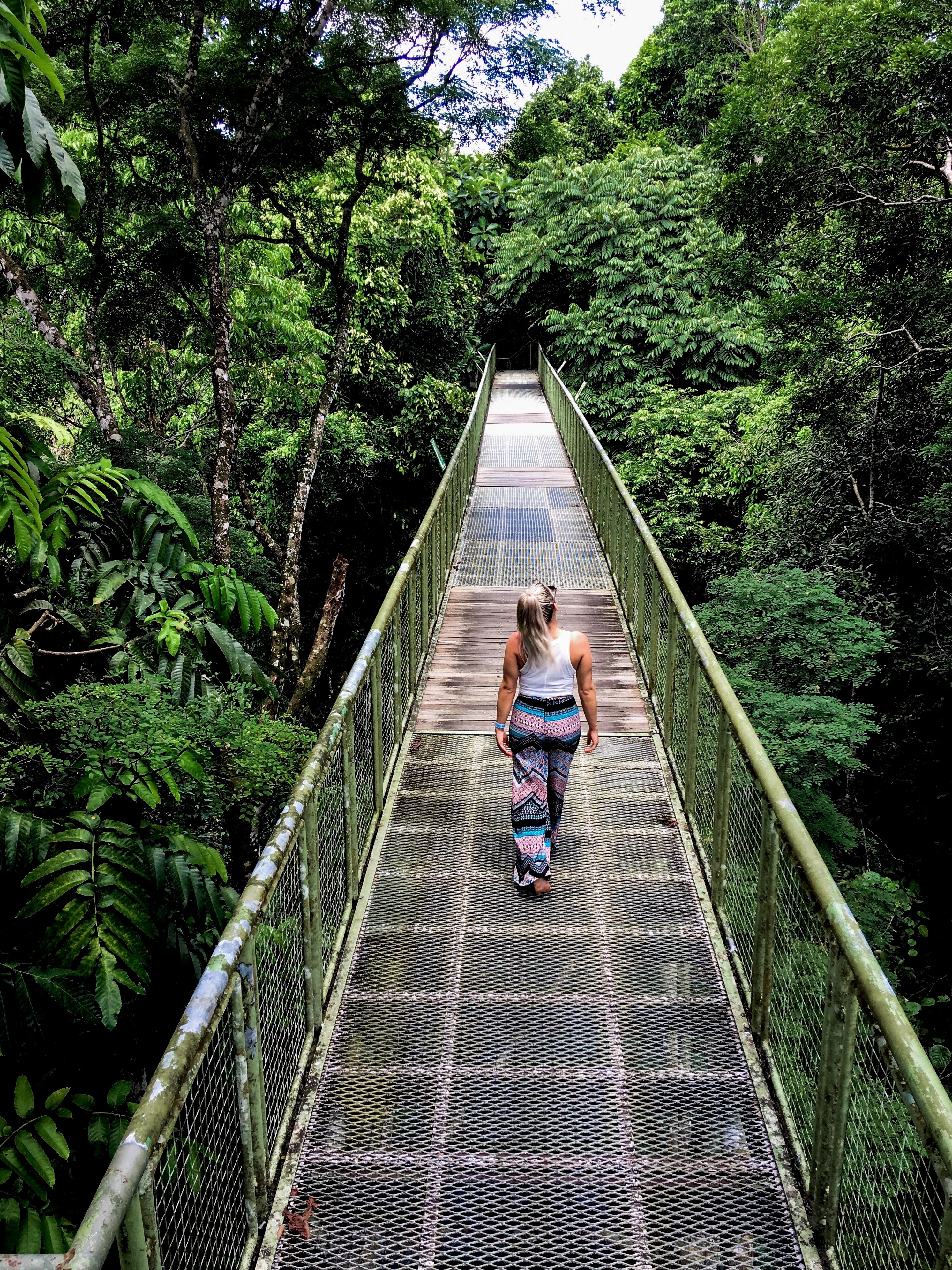 5C4BAE8B-9CE9-43DE-9DC5-41C2B1EC1FC0