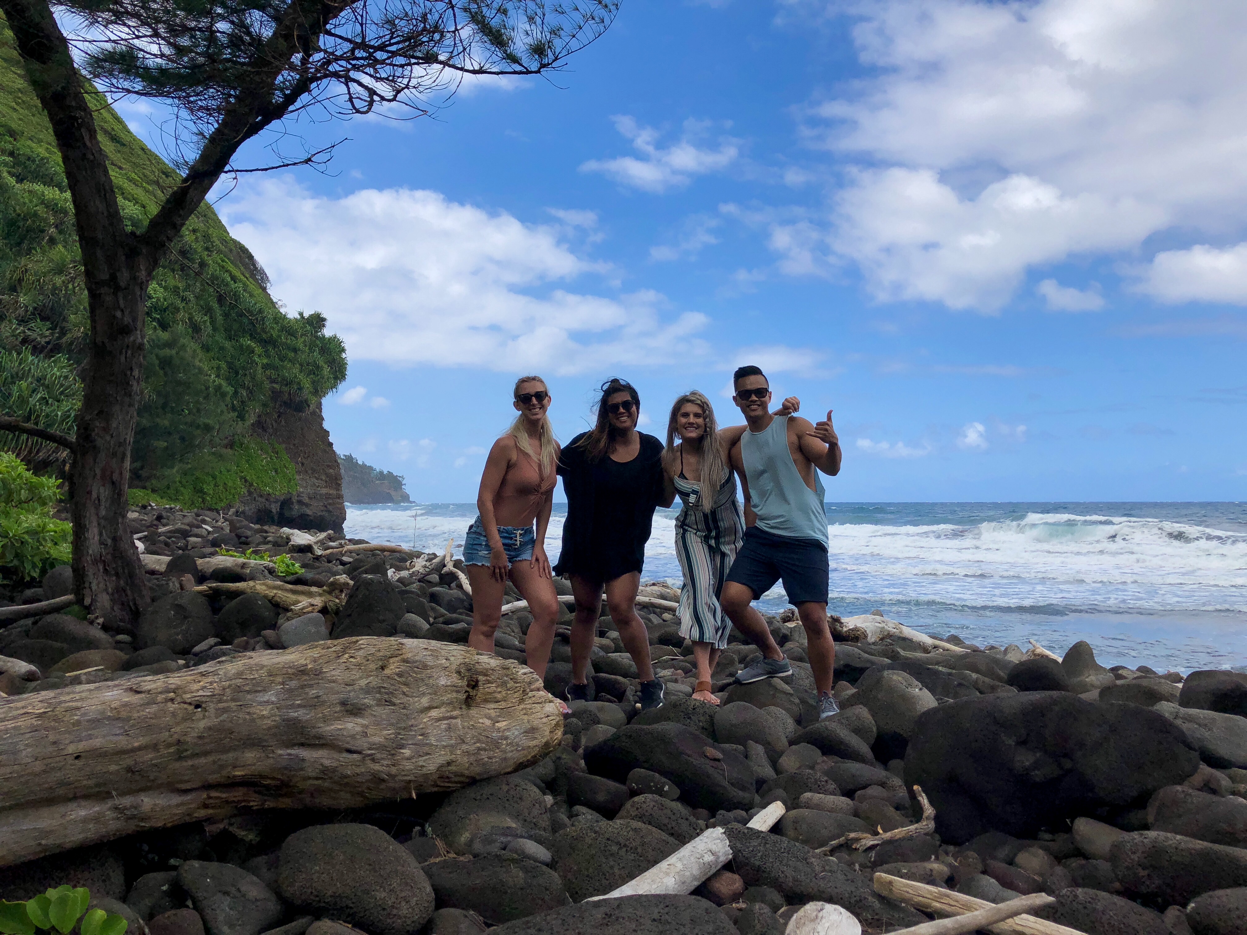 C6E92F9D-AA63-4E09-ABF1-85E00E491B6F