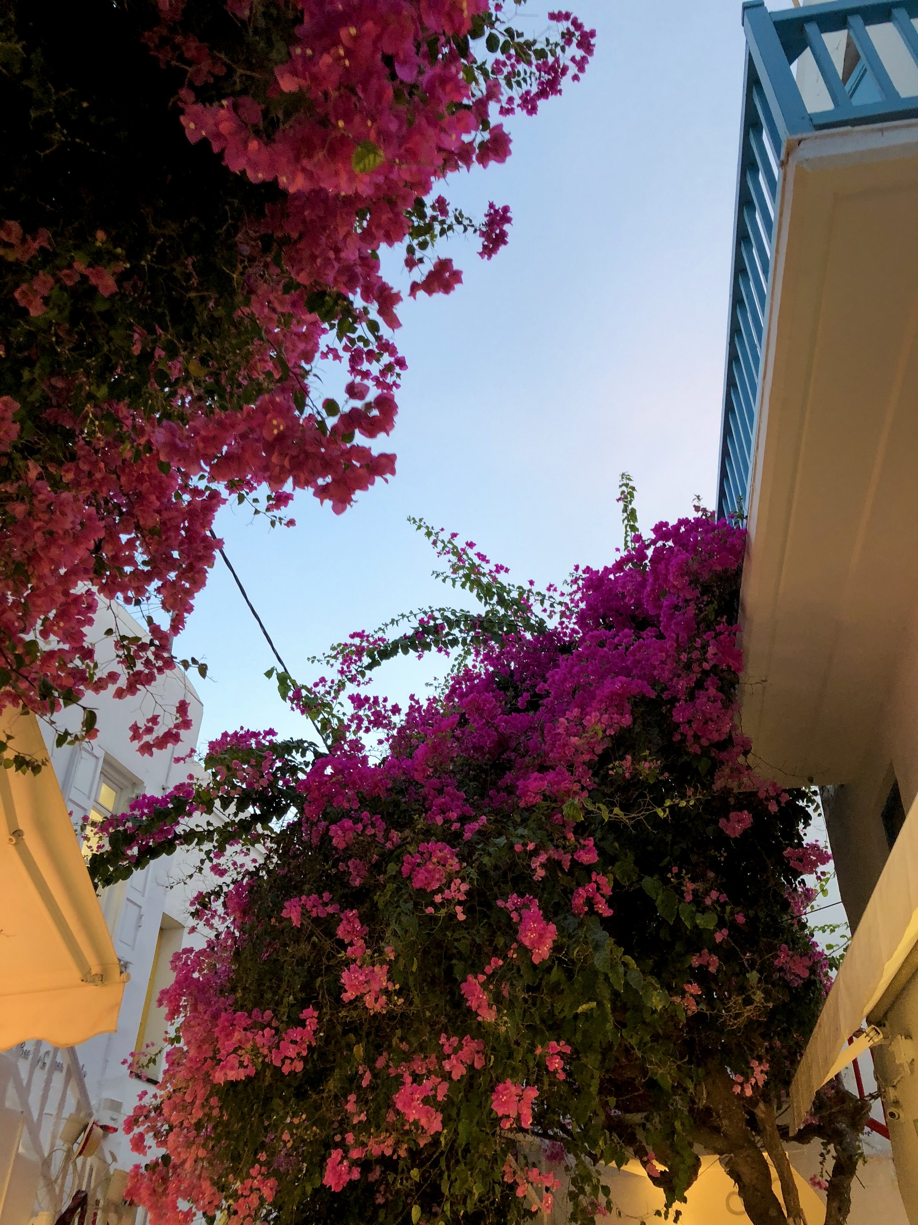 EC25D180-DED2-4162-B675-B1379582F32C